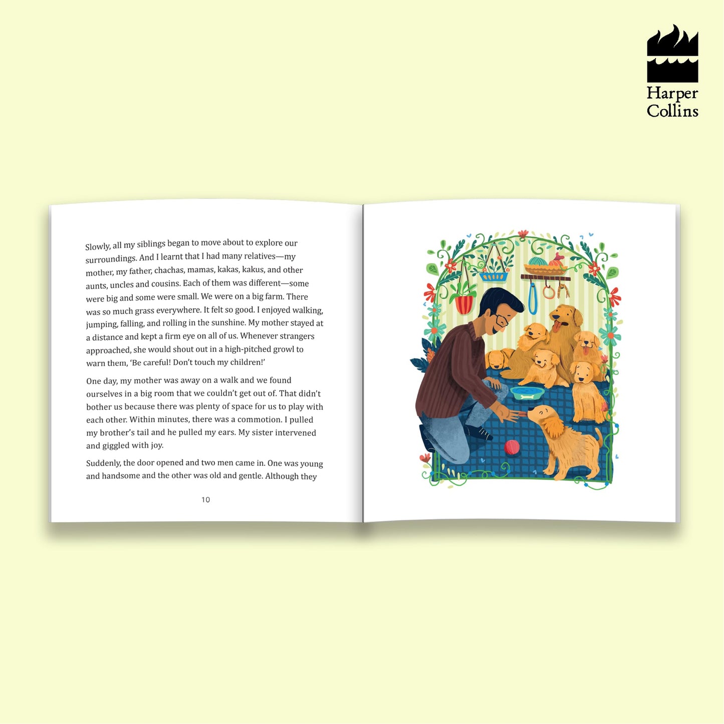 The Big Book Of Gopi Stories: The Gopi Diarie By Sudha Murty