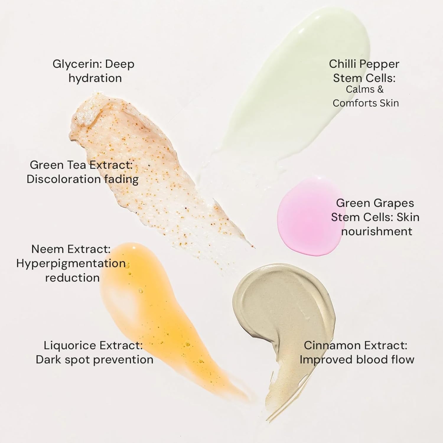 Raaga Professional Stem Cells Infused Anti Acne Facial Kit | Cinnamon, Green Grapes, Chilli Pepper Stem Cells | 6 Step Facial Kit for All Skin Types (61 gm)