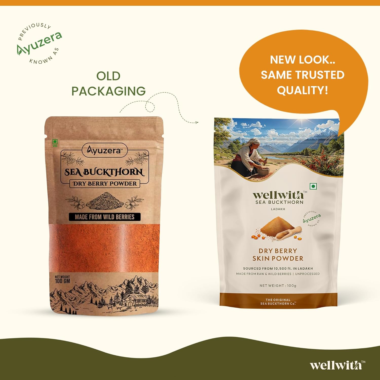 Wellwith Himalayan Sea Buckthorn Dry Berry Kkin Powder, 100g | Rich in Omega 3, 6, 7, 9 | Collagen, Fiber, Omegas, Vitamin C, Vitamin E | Dry Sea Buckthorn Berry Powder (100, Grams)