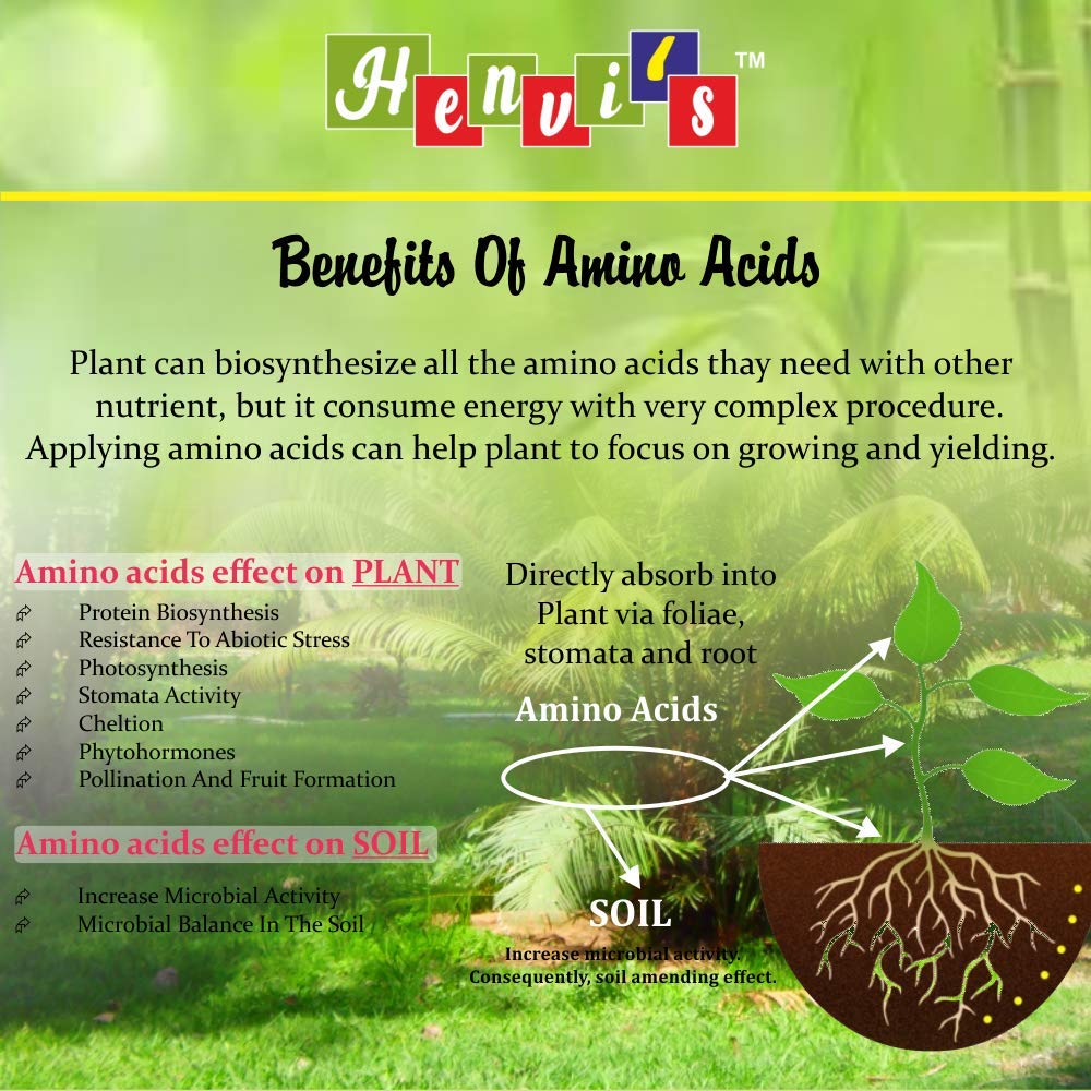 Henvi's Plant Tonic Specially Formulated for Plotted Plant with Amino Acid (1, 750 ML)