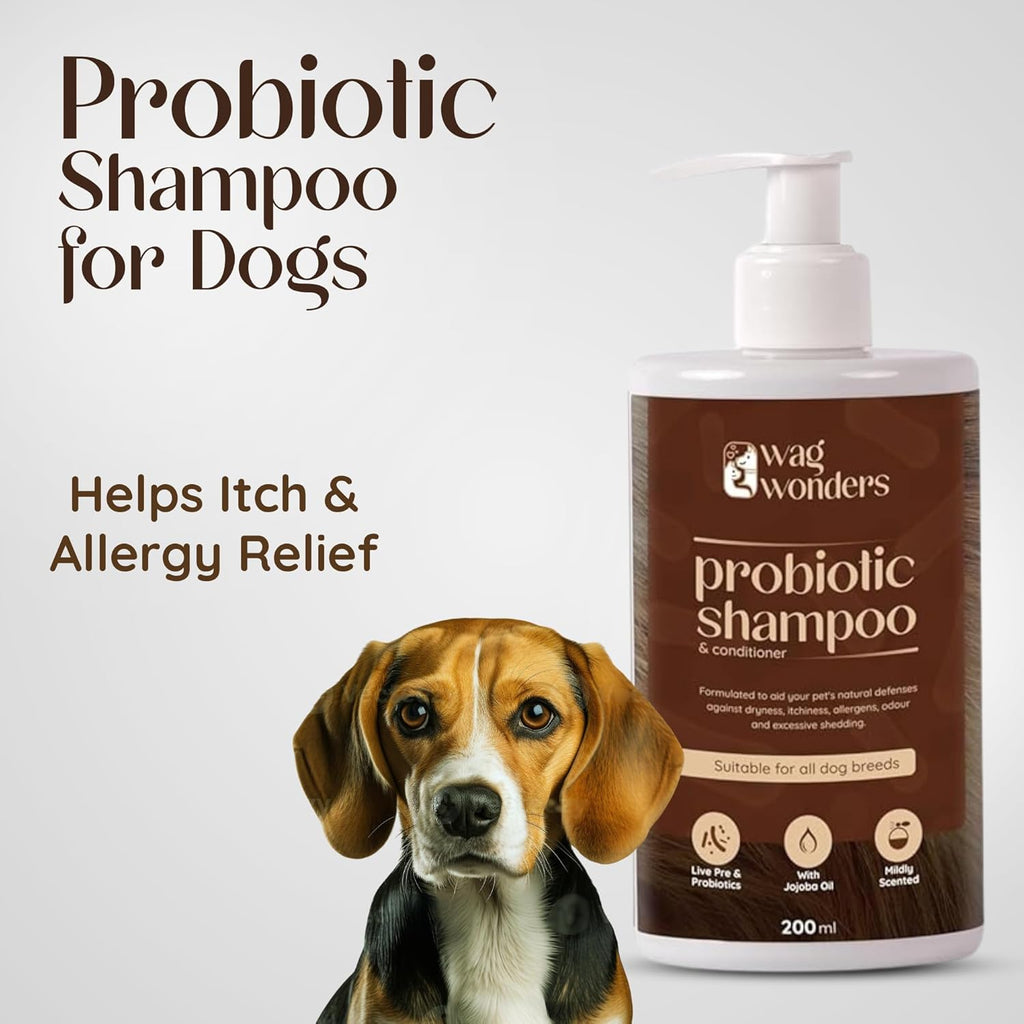 Wag Wonders 400 Ml Probiotic Shampoo for Dogs Natural Care From Healthy Bacteria | Helps in Improves Skin Health, Shinier Skin