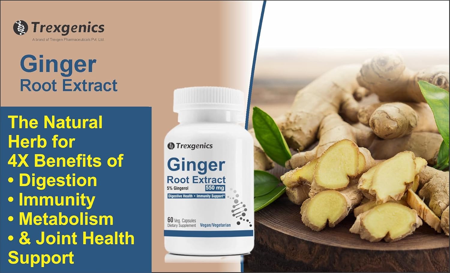 Trexgenics GINGER (Bioactive 5% Gingerol) 550 mg Standardized for Digestive Health, Immunity, Metabolic Profile, Immunity Support (60 Vcaps) (1)