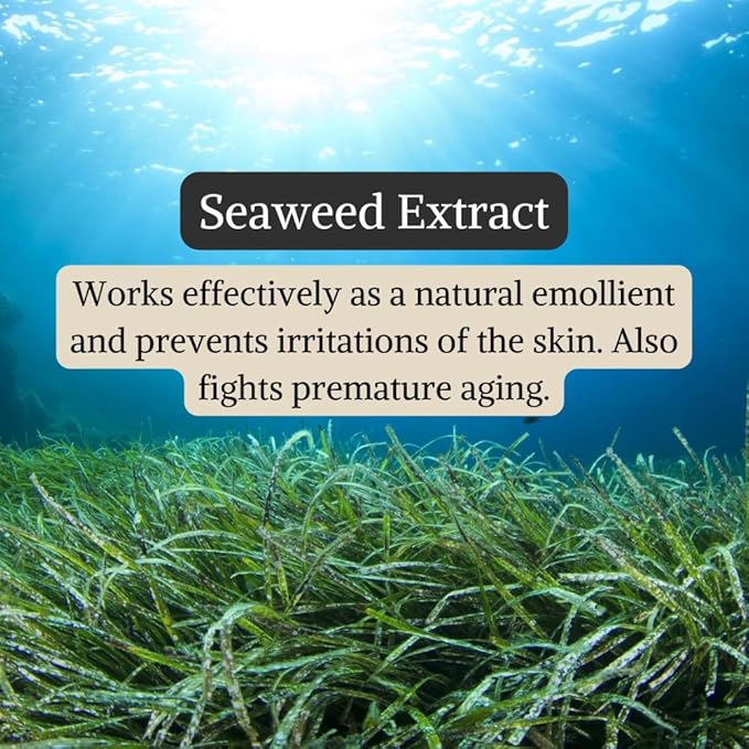Nyassa Under the Ocean Hand Cream | Seaweed Extract & Almond Butter - 145 Ml