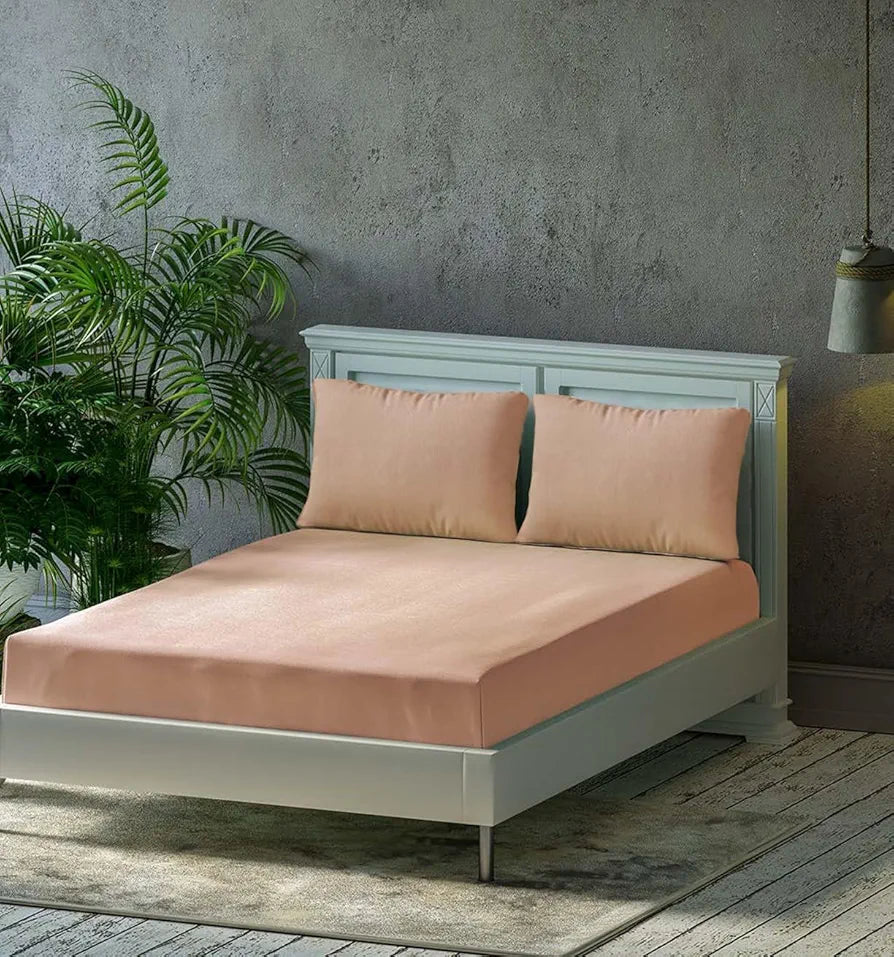 Trance Home Linen Premium 300 TC Pure 100% Cotton King Fitted Bedsheet with 2 Pillow Covers Colour Apricot