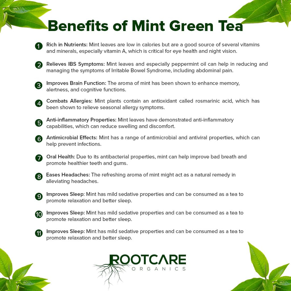 Rootcare Organics Premium Mint Green Tea - 100 gms