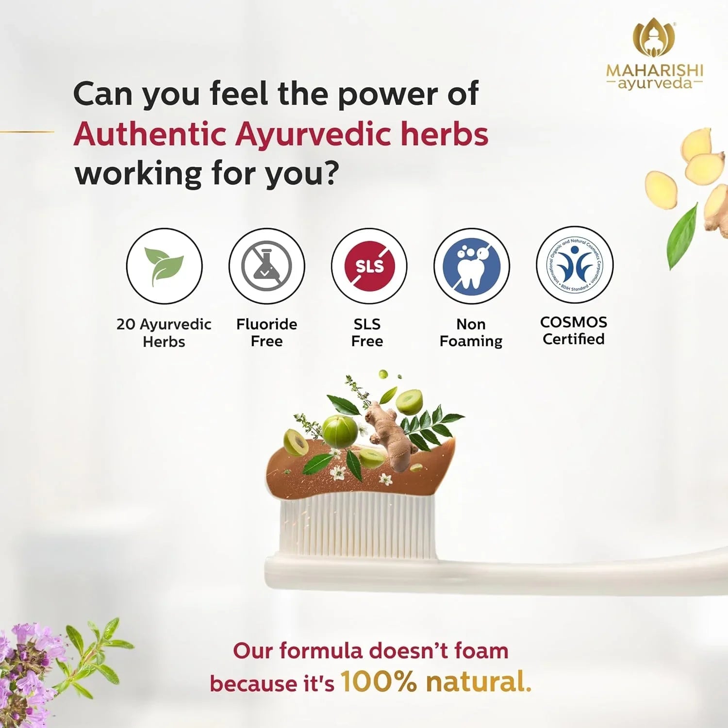 Maharishi Ayurveda Ayurdent Toothpaste, Unique Saliva Balancing Formula, for Toothache, Bleeding Gums, Sensitivity, Cavities, Plaque & Bad breath, Non Foaming, No SLS & Fluoride