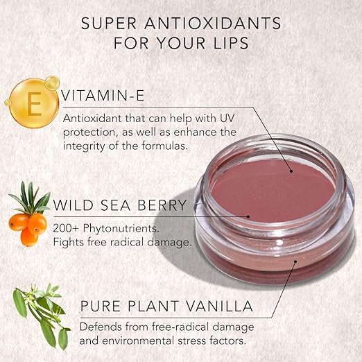 Daughter Earth Vegan Lip and Cheek Tint With Vitamin E | Coral Nude Matte Natural Blush for Women - 4.5 Gms