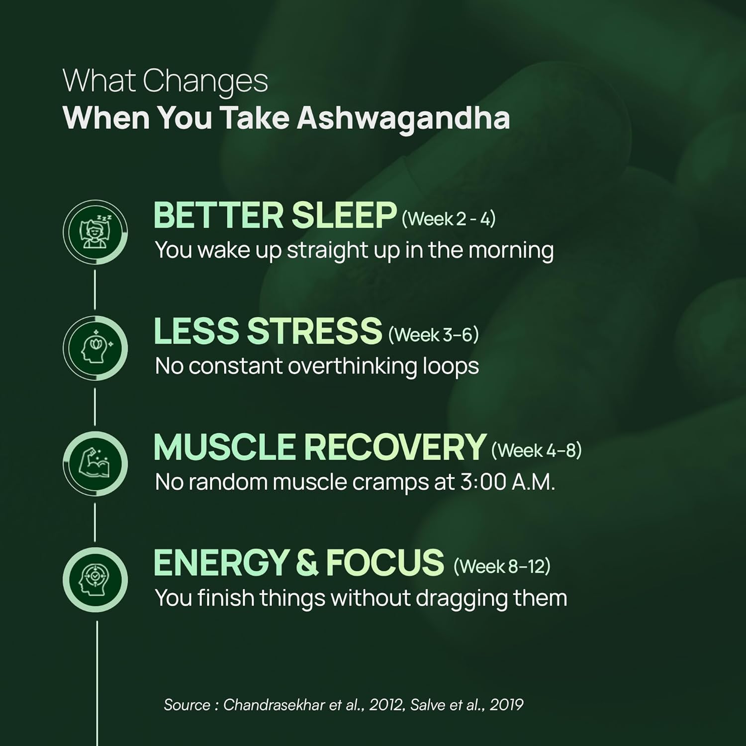 Rasayanam Ashwagandha KSM-66Â® | Clinically Proven 600mg Dosage | 5.1% Withanolides for Max Results | 100% Pure Root Extract | Stress Relief, Energy & Recovery Support | Worldâ€™s Strongest Ashwagandha | 60 Capsules