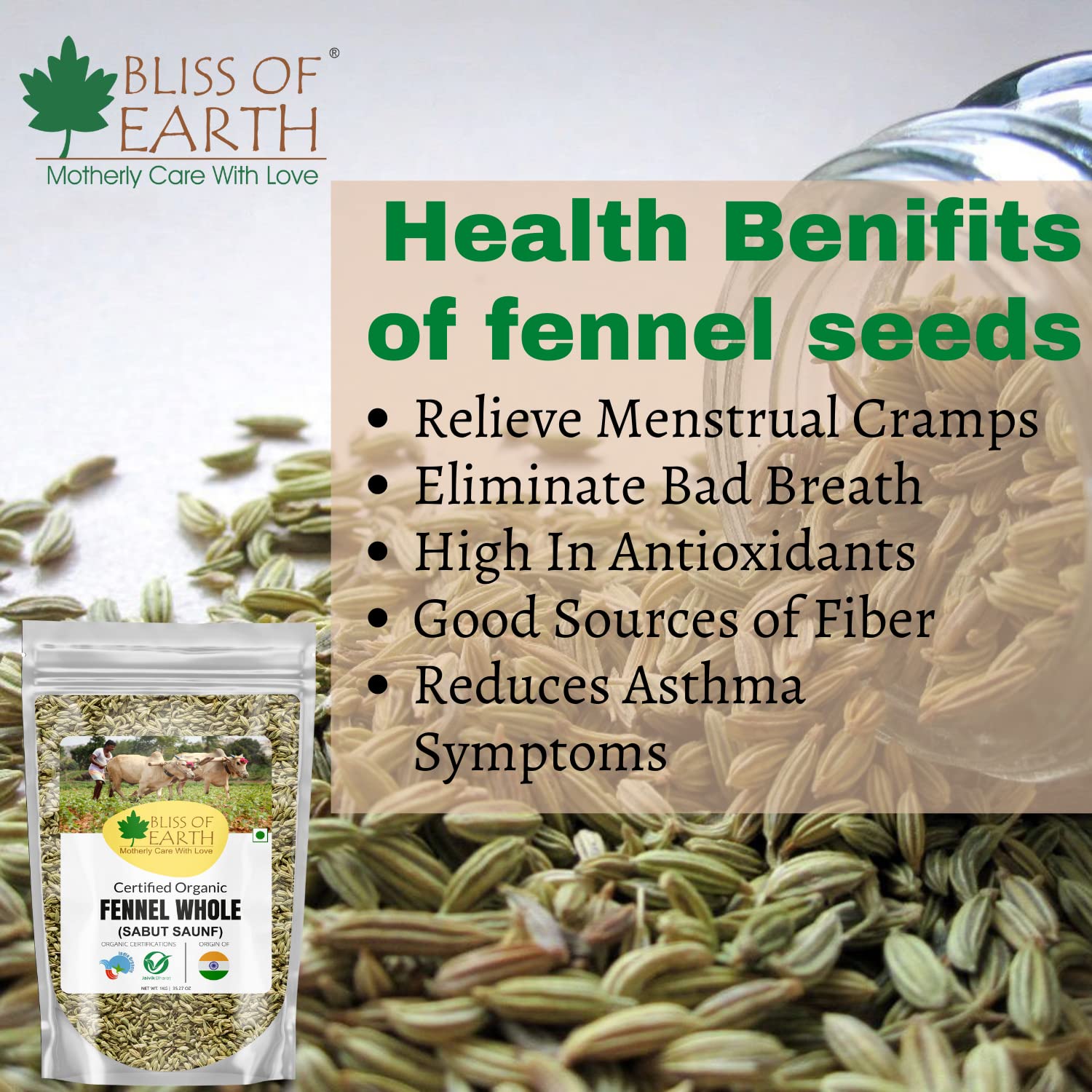Bliss of Earth Certified Organic Fennel seed (Saunf) Indian Spice Fresh & Sweet Great for Weight loss | digestive health or Cooking (500gm)