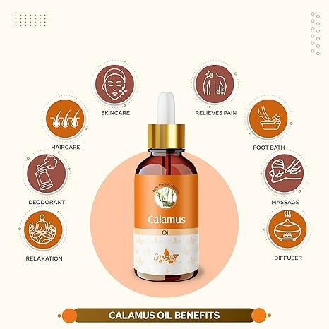 Crysalis Calamus (Acorus Calamus) Oil - 100 ml