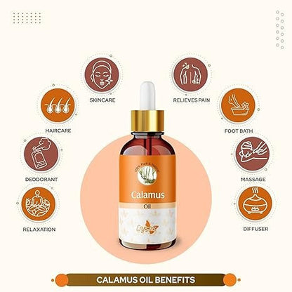 Crysalis Calamus (Acorus Calamus) Oil - 100 ml