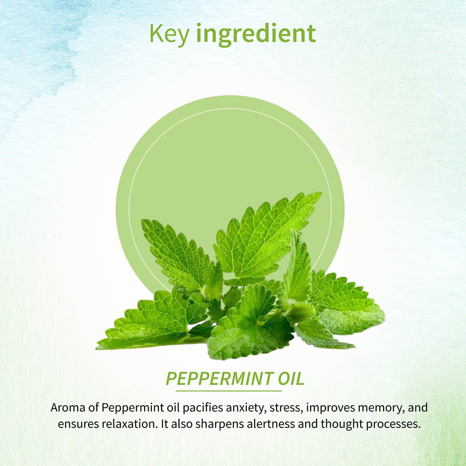 Ayouthveda Peppermint Essential Oil for Skin & Hair | Aromatherapy Kit for Stress Relief & Relaxation | 100% Pure & Natural Therapeutic Grade |Can Be Used as Air purifier (Pack Of 1; 15ml)