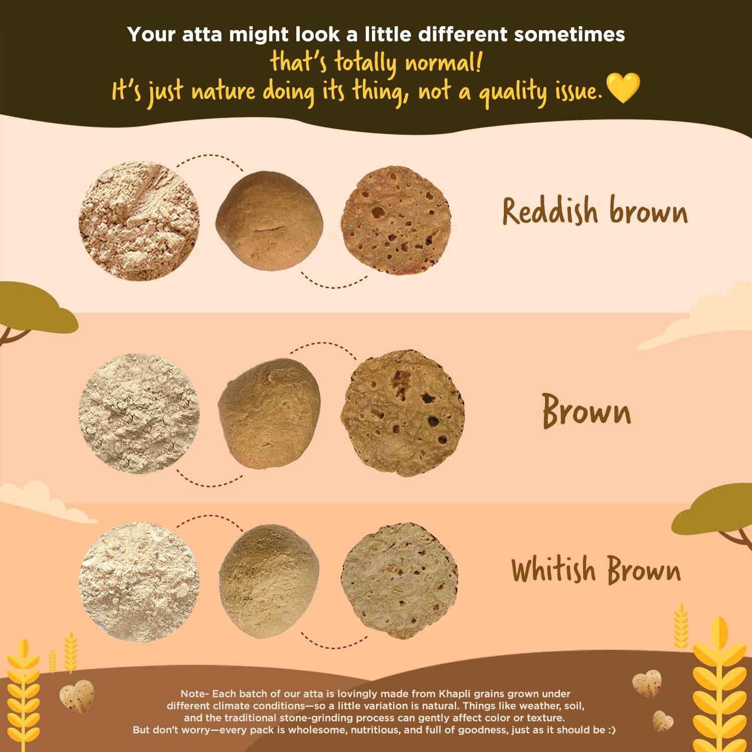 Two Brothers Organic Farms - Khapli Wheat Flour (1 kg) | High Dietary Fiber for Easy Digestion | Stoneground Emmer Wheat Flour | Khapli Atta