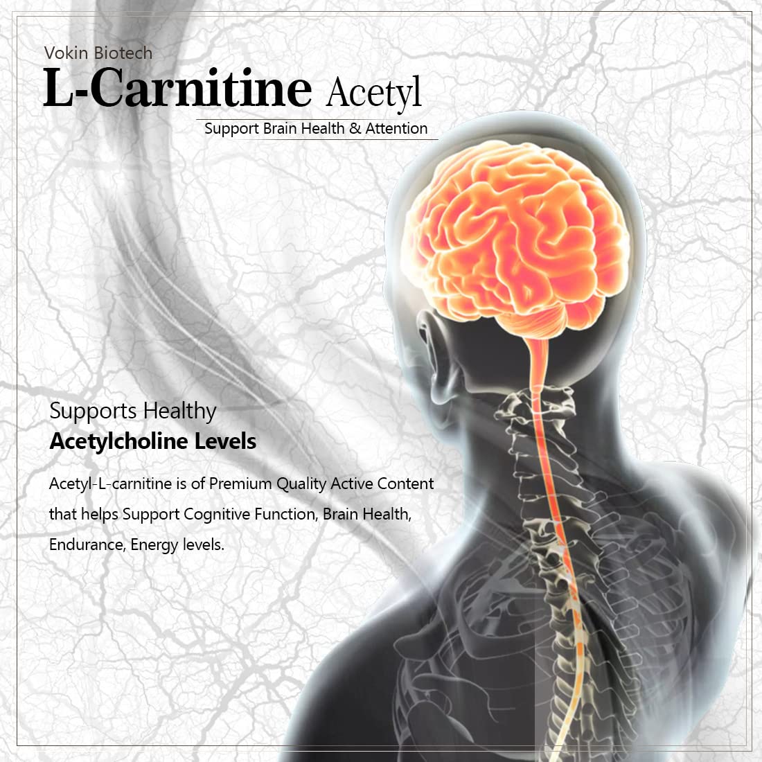 Vokin Biotech L-Carnitine Acetyl (ALCAR)- Support Brain Health- 500 mg â€“ 90 Capsules