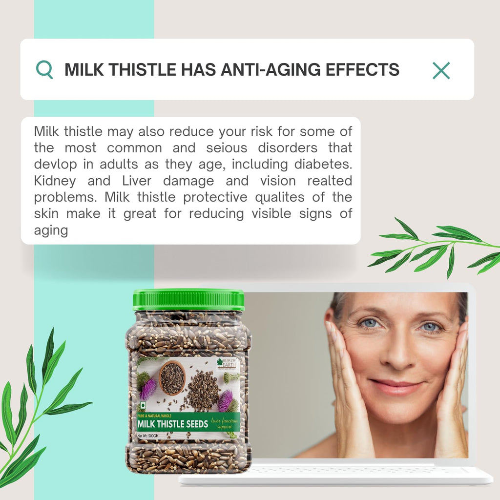 Bliss of Earth 500gm Milk Thistle Seeds Organic Super Food Great for Guts Health & Boost Immunity (Pack of 1)