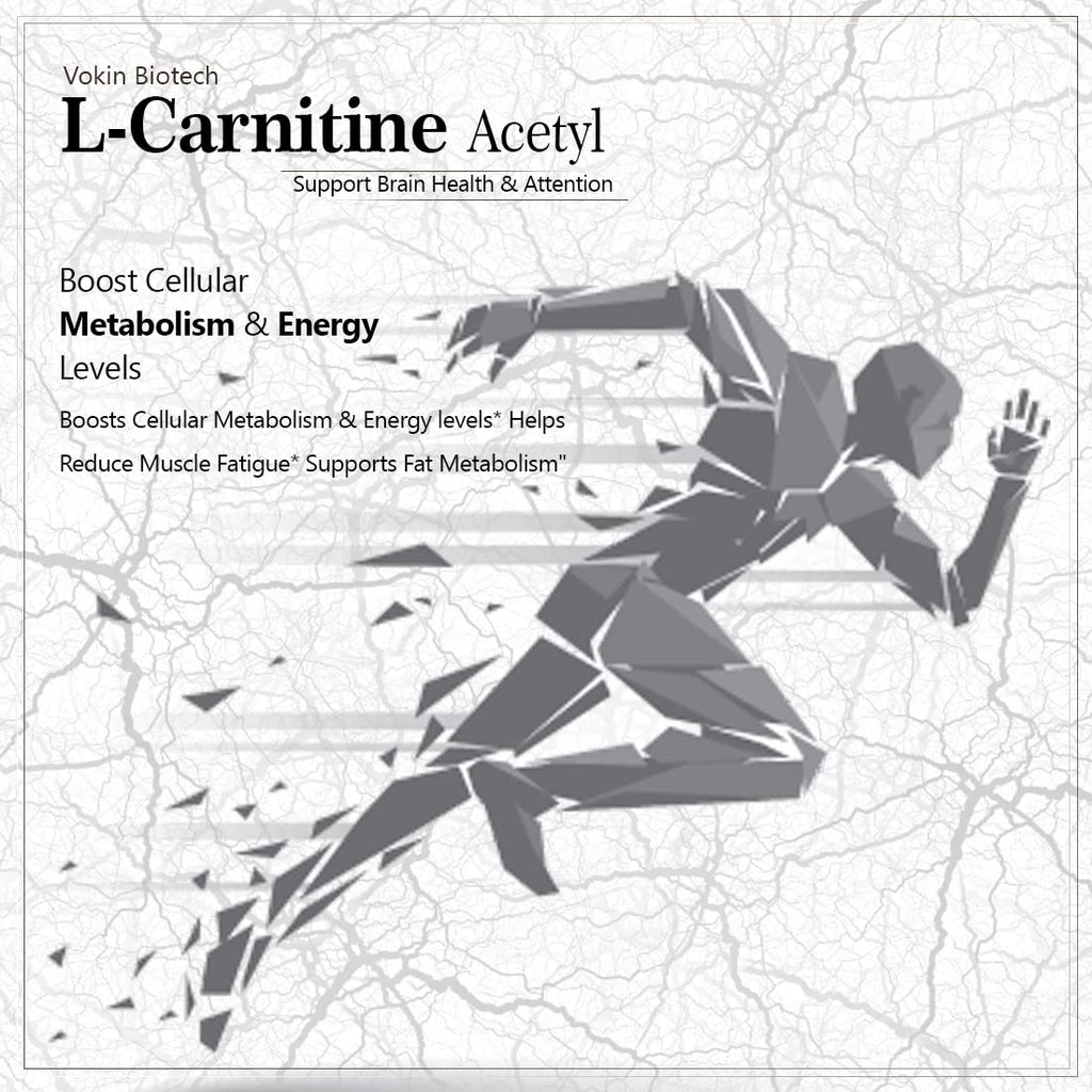 Vokin Biotech L-Carnitine Acetyl (ALCAR)- Support Brain Health- 500 mg â€“ 90 Capsules