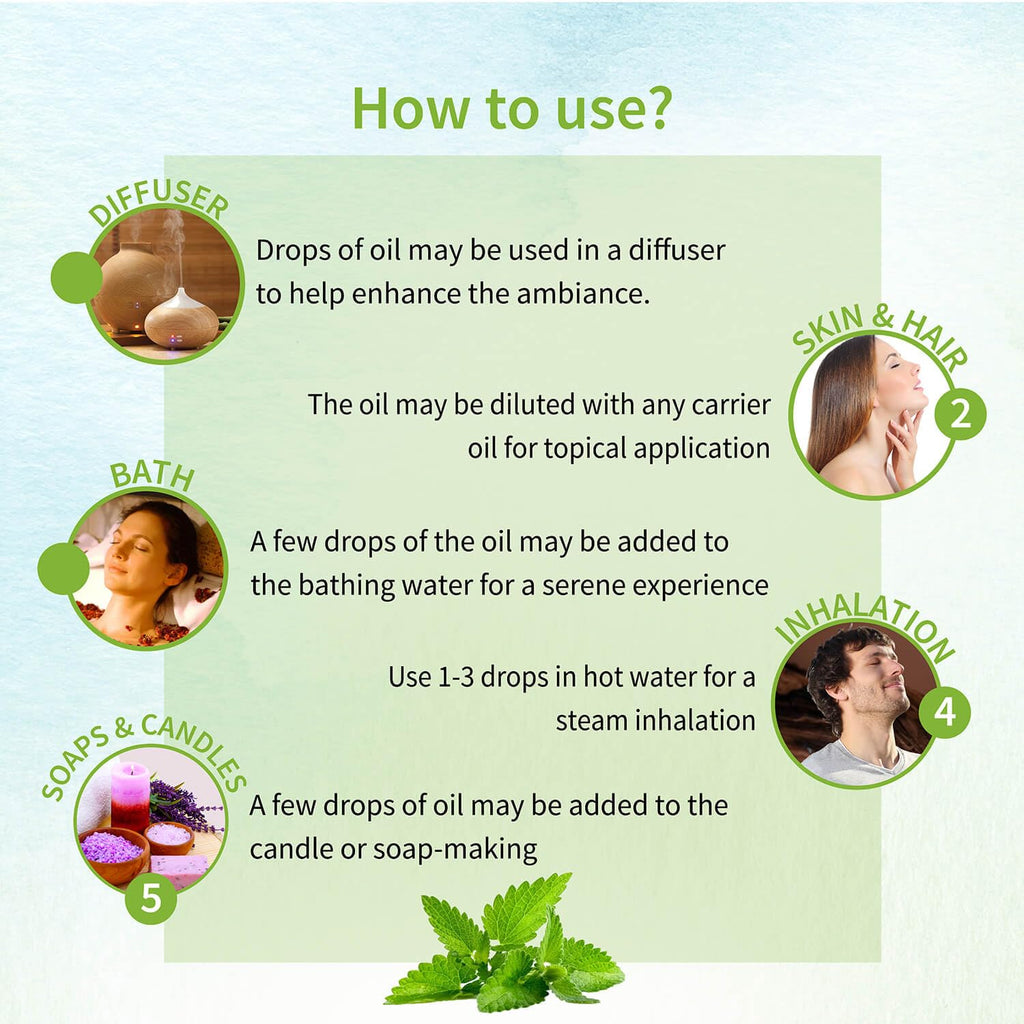 Ayouthveda Peppermint Essential Oil for Skin & Hair | Aromatherapy Kit for Stress Relief & Relaxation | 100% Pure & Natural Therapeutic Grade |Can Be Used as Air purifier (Pack Of 1; 15ml)
