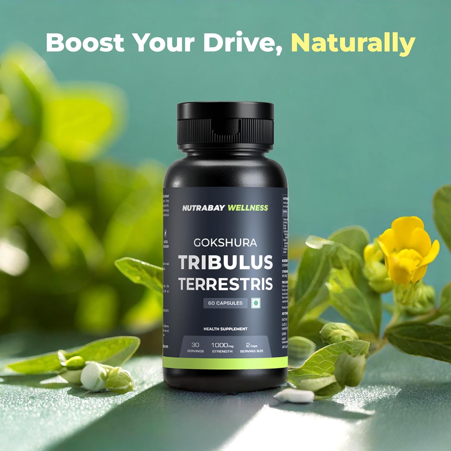 Nutrabay Wellness Tribulus Terrestries (Gokshura) - Natural Support for Energy, Performance & Stamina & Muscle Growth - 1000mg, 60 Veg Capsules