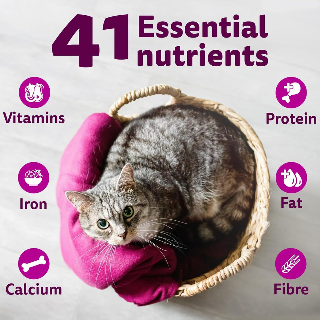 Whiskas Adult (1+ Years) Dry Cat Food, Ocean Fish Flavour, 480 g, Contains 41 Essential Nutrients, Complete & Balanced Nutrition for Adult Cats