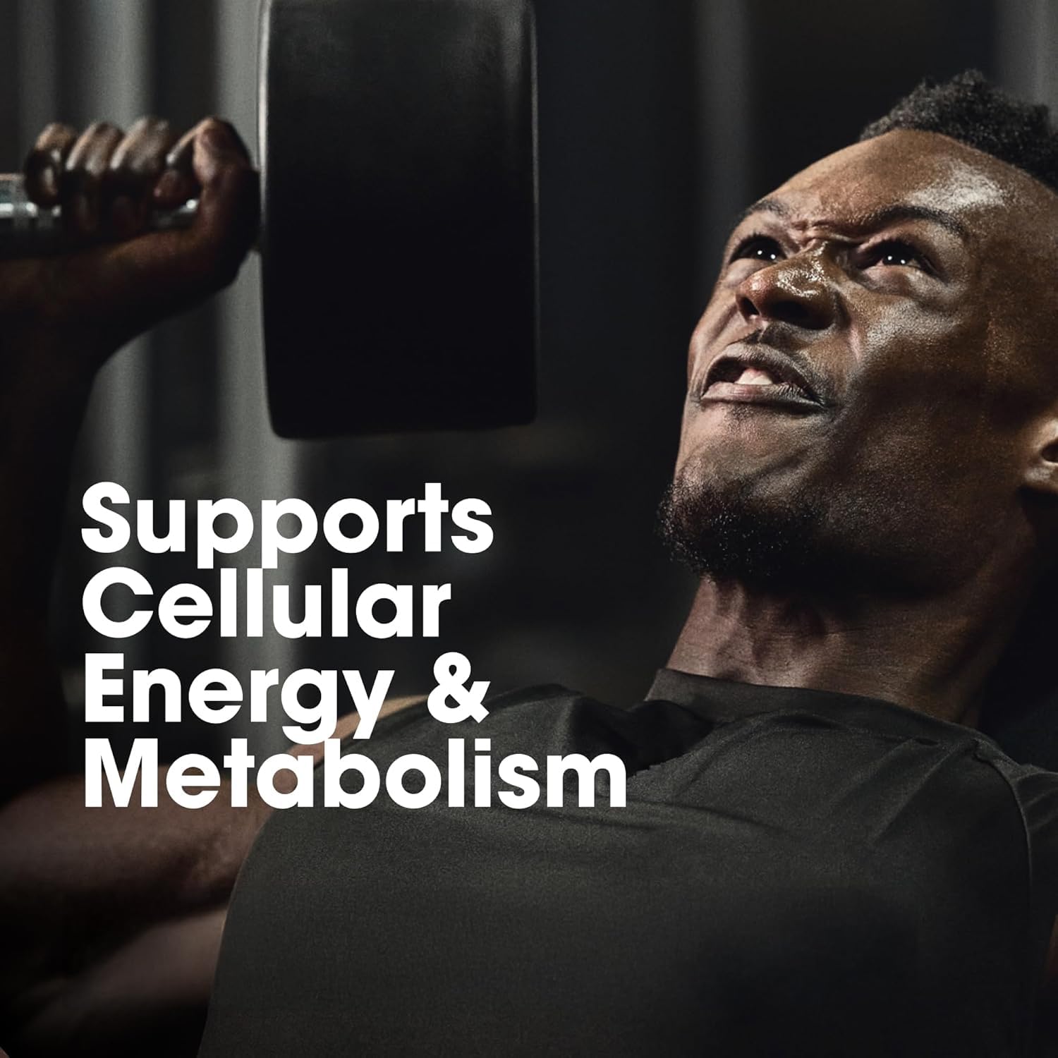 Optimum Nutrition (ON) Multivitamin for MENâ€“ 60 Tablets, 26 Vitamins & Minerals, Amino Acids & Anti-Oxidants (Green Tea Extract, Beta Carotene, Lutein, Lycopene). Vegetarian.