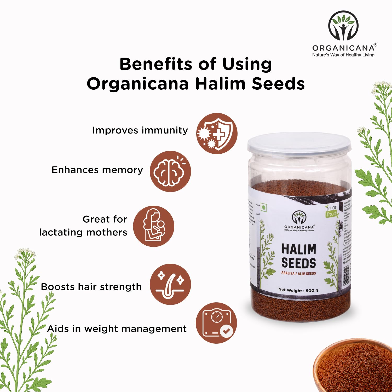 Organicana Halim Seeds 500g (Pack of 1)- Garden Cress | Aliv Seed | Asaliya | High in Fibre and Omega 3 | Garden Cress | Asalia | Haleem seed | Immunity Booster Superfood