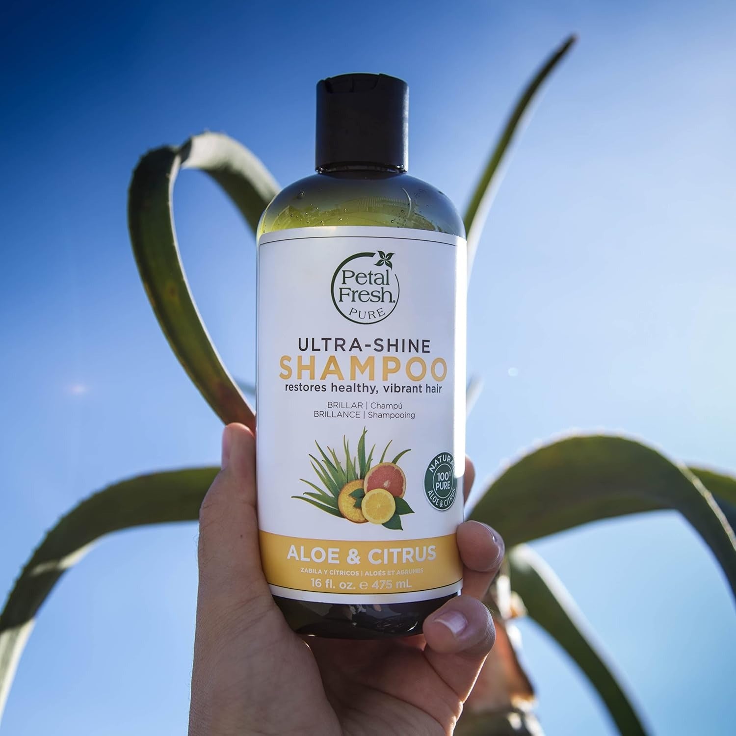 Petal Fresh Pure Ultra Shine Aloe & Citrus Shampoo - 355 ml