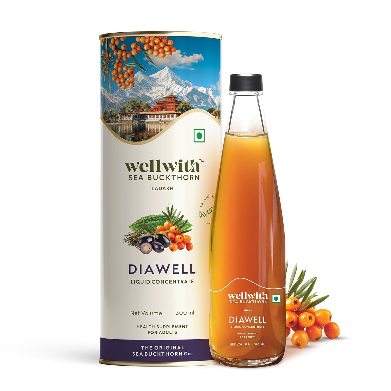 Wellwith (Ayuzera) Diawell (Diabowin) Karela & Jamun Diabetic Care Juice with Seabuckthorn 300ml | Chirata and Punarnava | Ayurvedic | Makes Upto 50 Glass Juice (300ml, Pack of 1)