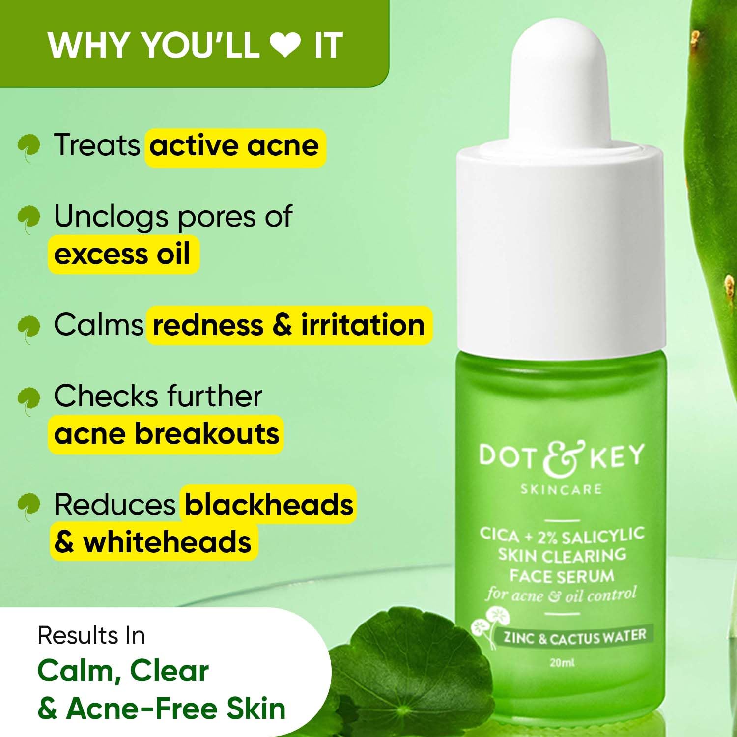 Dot & Key 2% Salicylic Acid + Cica Anti Acne Serum with Zinc | Salicylic Acid Serum for Acne and Dark Spots | Serum for Oily Acne Prone Skin & Sensitive Skin | Oil-Free & Non Comedogenic | 20 ml