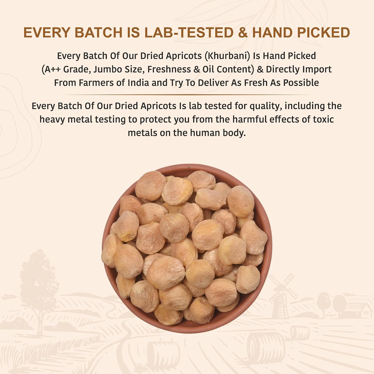Nutty Organics Dried Apricots Jardalu 250GM | Nutritious | Rich in Iron | Tasty & Healthy Nuts Dry Fruits | Rich in Protein | Gluten Free