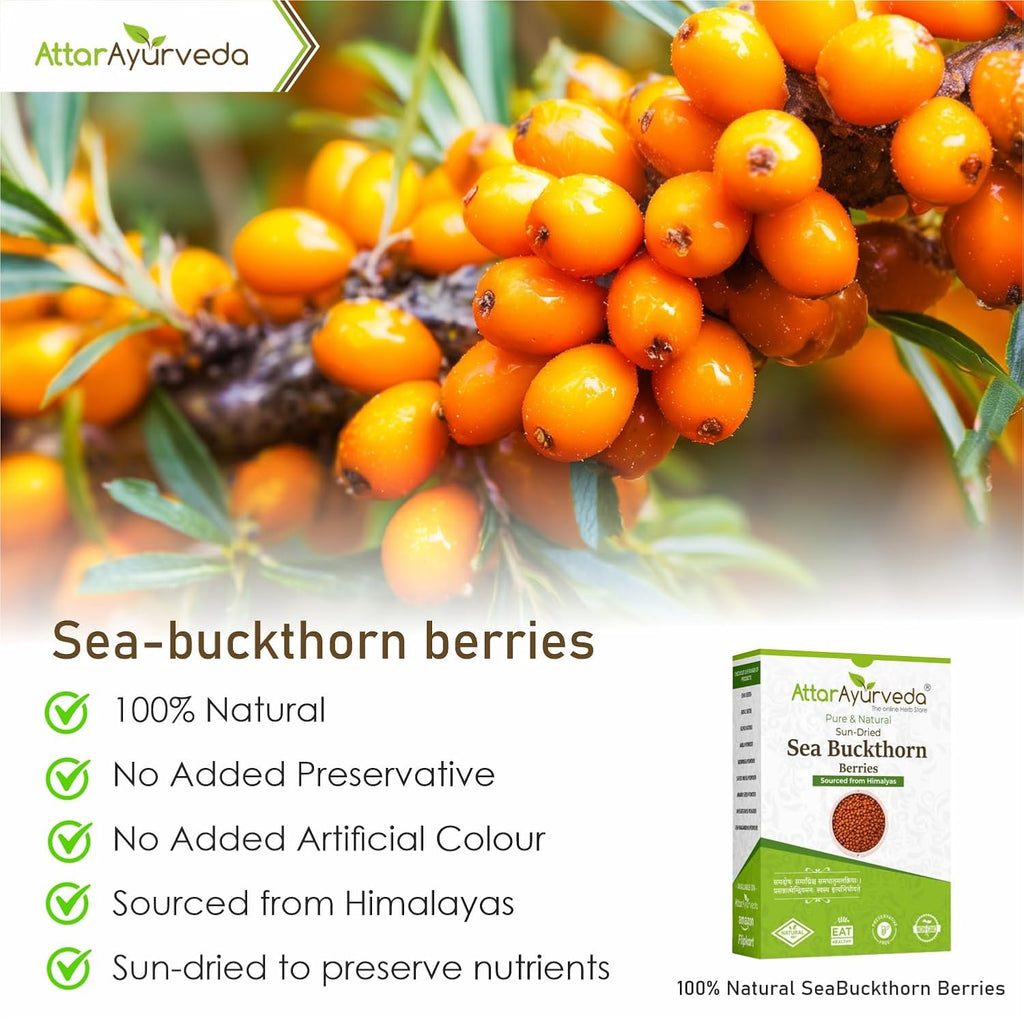 Attar Ayurveda Sea buckthorn berry 100 grams (Sun-dried) | Sourced from Himalyas | Rich in Vitamin C & Antioxidants | Natural Superfood for Immunity & Skin Health | 100% Pure & No Added Sugar