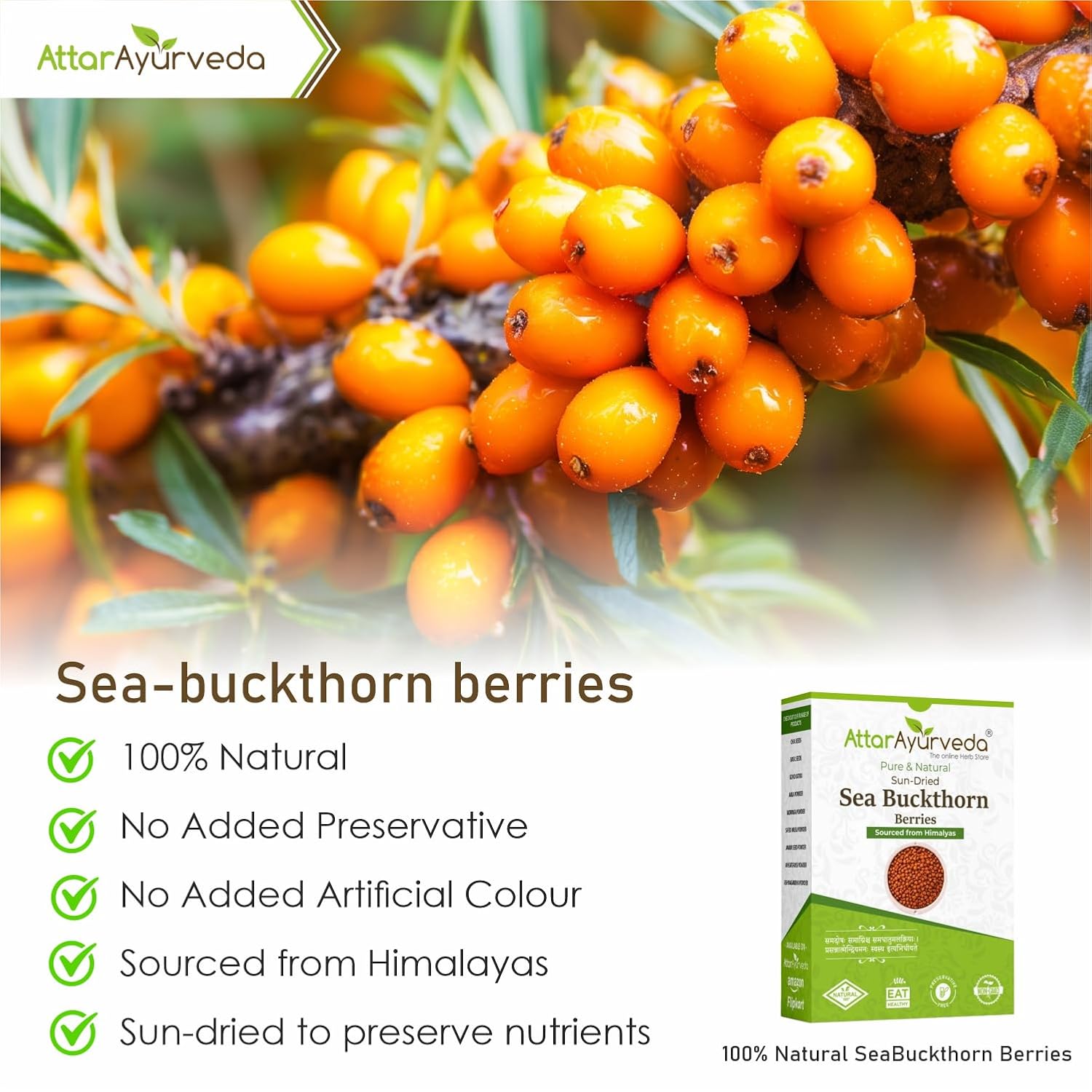 Attar Ayurveda Sea buckthorn berry 100 grams (Sun-dried) | Sourced from Himalyas | Rich in Vitamin C & Antioxidants | Natural Superfood for Immunity & Skin Health | 100% Pure & No Added Sugar