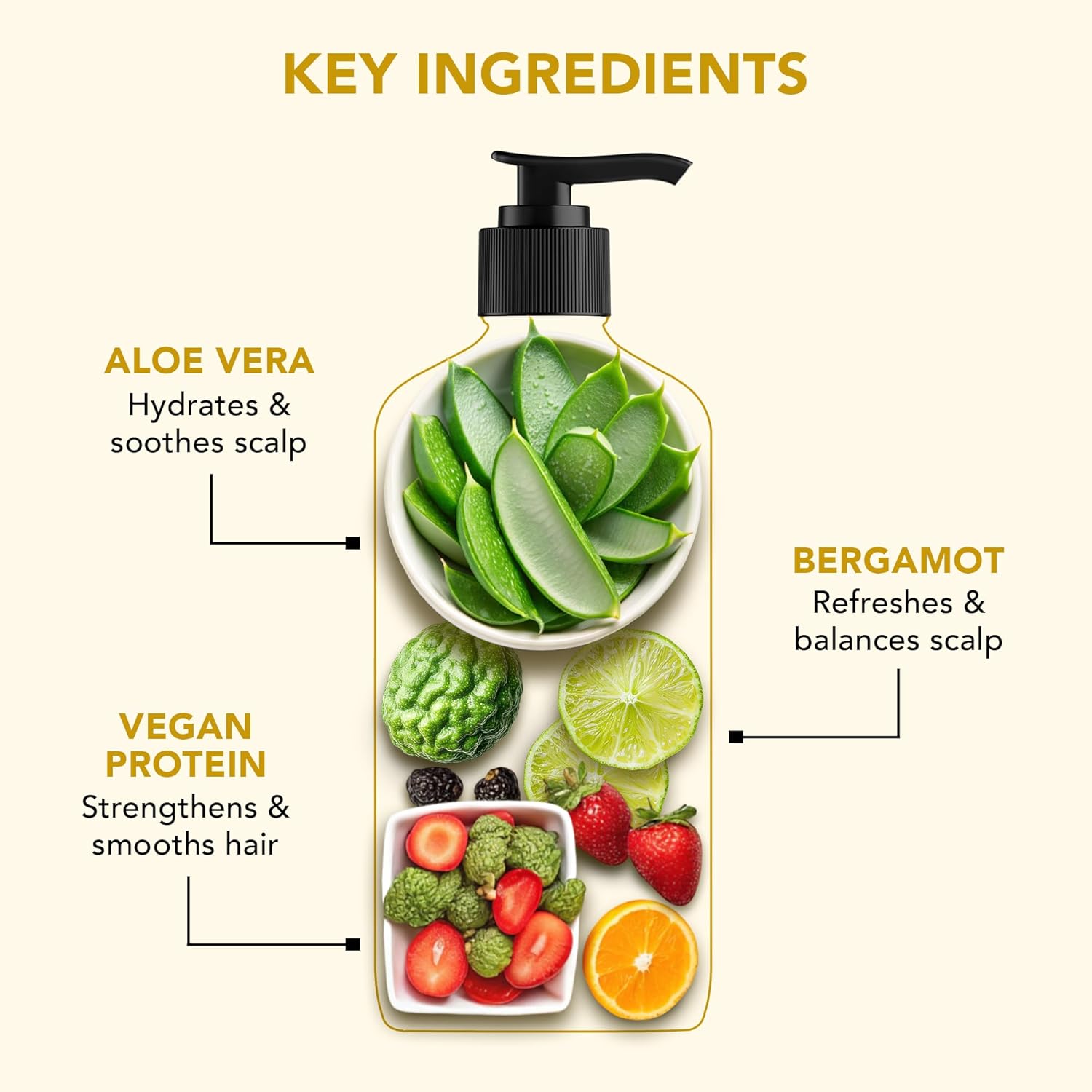 Botanic Hearth Hydrate & Soften Shampoo with Ceramide & Aloe Vera | Deep Moisture & Hair Repair | Strengthens & Smoothens Strands |Enhances Softness & Shine, 473ml