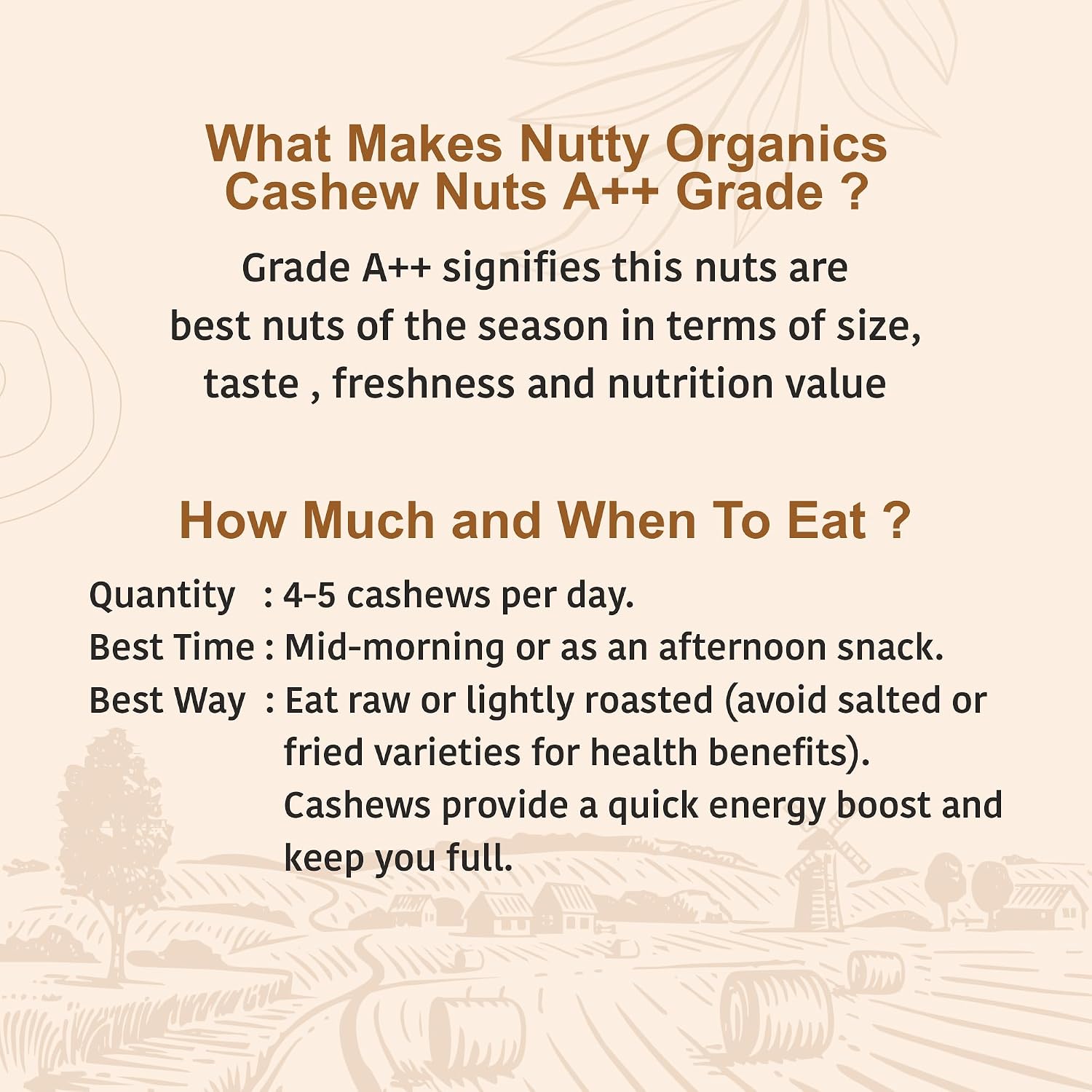 Nutty Organics Whole Cashew Nuts 250 Gm | Hand Selected Jumbo | Nutritious & Delicious Nuts | Natural & Crunchy | Healthy Dry Fruit Snack