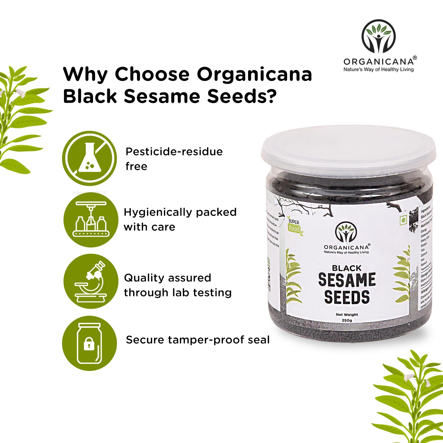 Organicana Black Sesame Seeds (Pack of 1) - Til for Eating | Natural Black Gingelly Oil Seed | Indian Spices for Everyday Essentials | Kaale Til for Weight Loss | Nutrient Rich Black Seeds