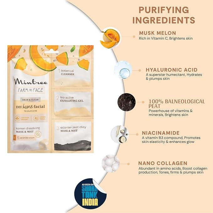 Mintree Organic Muskmelon Brightening at Home Facial Kit
