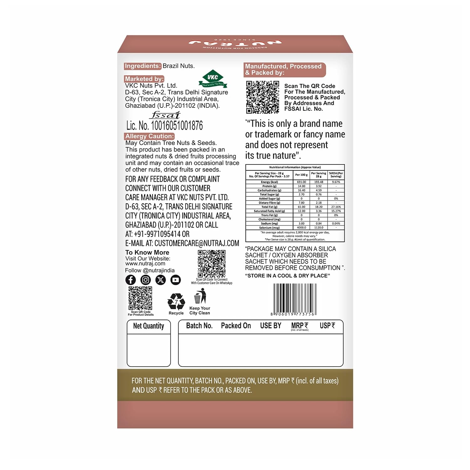 Nutraj Brazil Nuts Roasted 100g Pouch | No Added Preservatives | Handpicked & Exotic | Raw & Unsalted Natural Whole