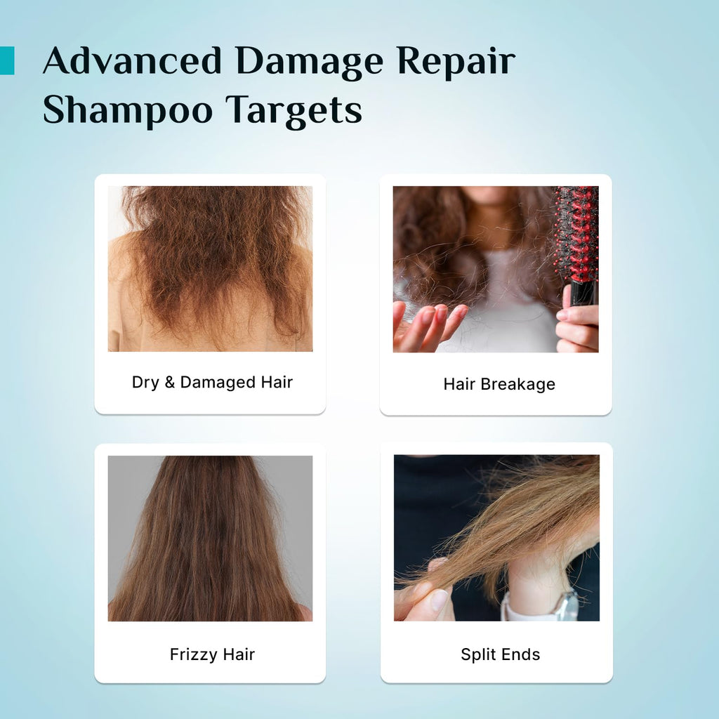 Pilgrim Korean Rice Water & Collagen Advanced Damage Repair Shampoo - 200ml | with 17 Amino Acids, Wheat Protein & 5 Ceramides | Paraben-Free | For Dry & Damaged Hair | For Women and Men