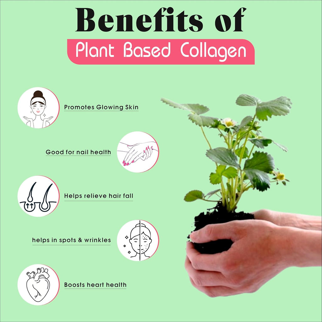 Plant Based Collagen- Anti-Aging Supplements For Women,Natural,Youthful Glow,Wrinkle-Free Skin,Promotes Skin Regeneration,Improves Skin Elasticity,Silica&Hyaluronic Acid-60 Capsules