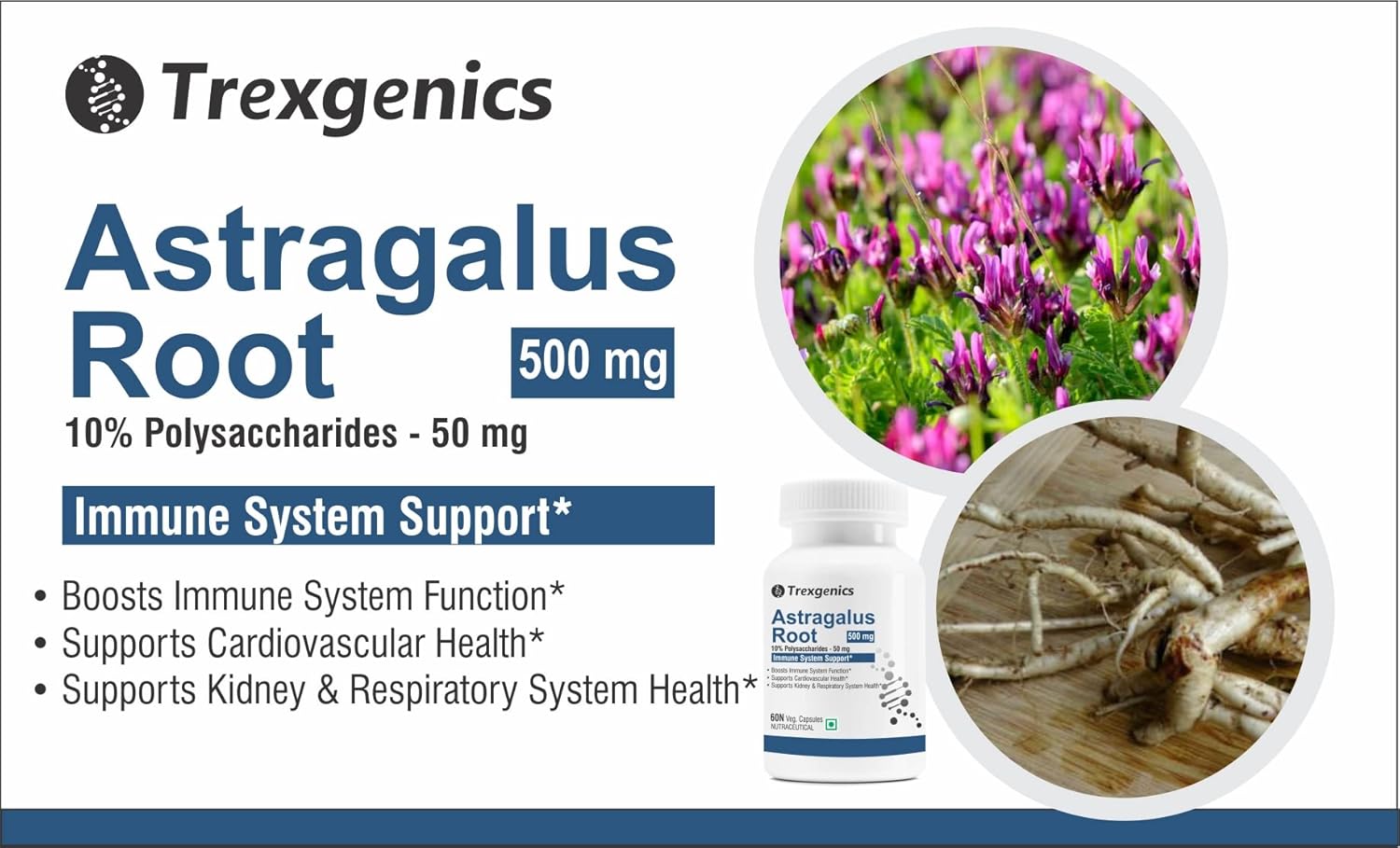 Trexgenics ASTRAGALUS 10% Polysaccharides 500 mg Immunity VEGAN & NON-GMO (60 Veg. Capsules) (Pack of 1)