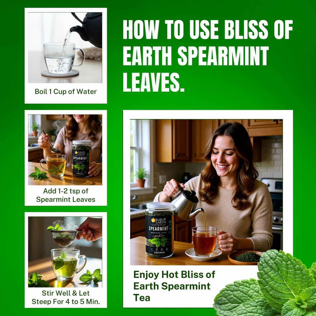 Bliss of Earth Spearmint Tea For PCOS Relief 100g, Premium Egyptian Sun Dried Spearmint Leaves, Mint Herbal Tea for Hot & Cold Brew
