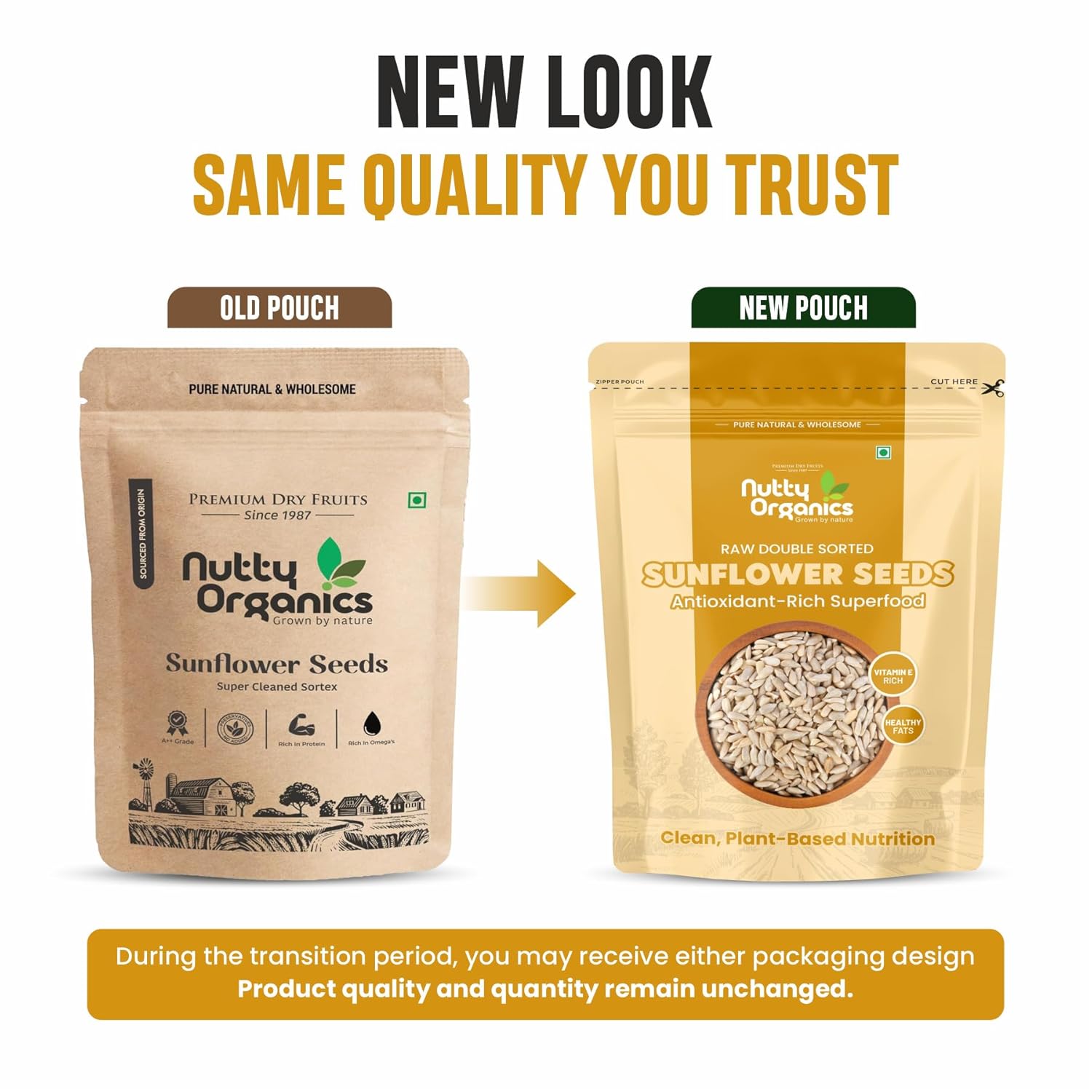 NUTTY ORGANICS Natural Sunflower Seeds 200GM | Raw Sunflower Seeds for Eating- Diet Food | Healthy Snack | Raw Seeds | Weight Management