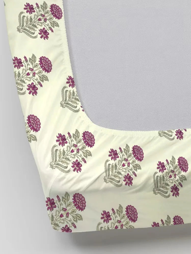 Trance Home Linen 180Tc 100% Cotton 78"X36" Single Size Elastic Fitted Bedsheet Printed With 1 Pillow Cover 180 tc Colour Aangan Pink