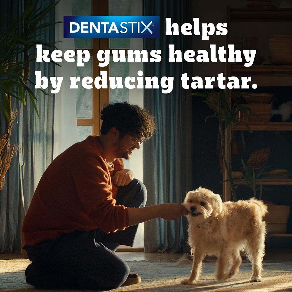 Pedigree Dentastix Oral Care Dog Treat, Adult Medium Breed (10-25 kg), 180 g, Recommended by Vets, Supports Gum Health, Reduces Risk of Gum diseases