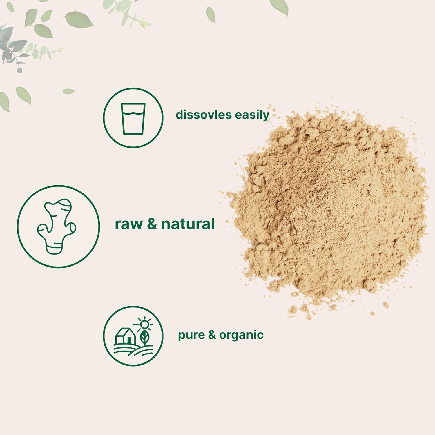Namo Organics - Ginger Dried Root Powder - 300g | Zingiber officinale | NON-GMO | No Added Preservatives | Sukku Podi | Dry Sonth/Adrak Powder for Cooking and Health
