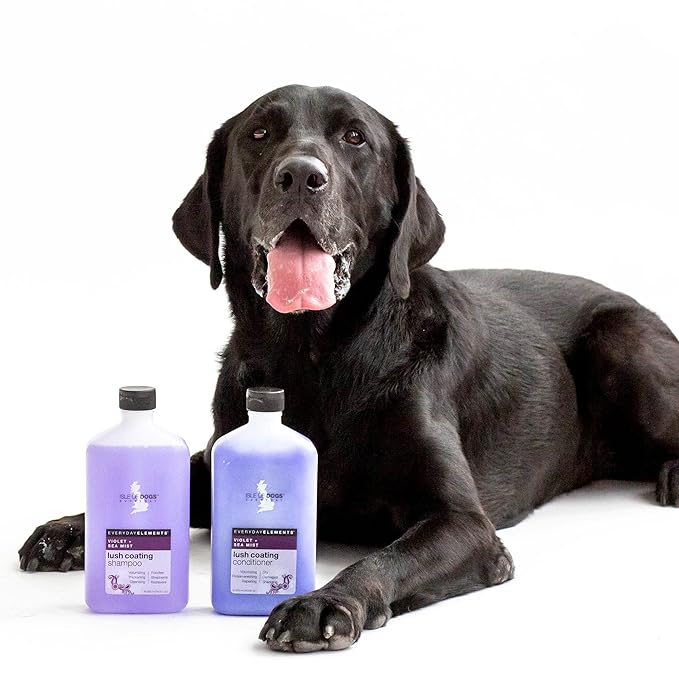 Isle of Dogs Everyday Lush Coating Dog Shampoo | 500 Ml | Violet