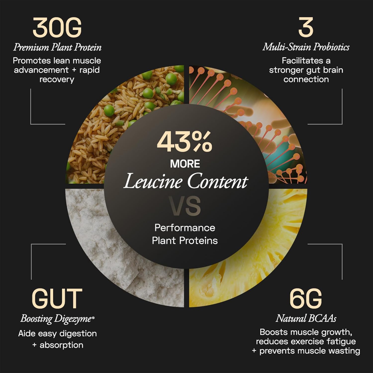 Ace Blend Intense 30g Plant Protein | Supports Muscle Growth & Recovery | Reduces Post-Workout Fatigue | 6g BCAA Amino Profile | Easy to Digest | For Men & Women | Chocolate Hazelnut 15 Servings, 675g