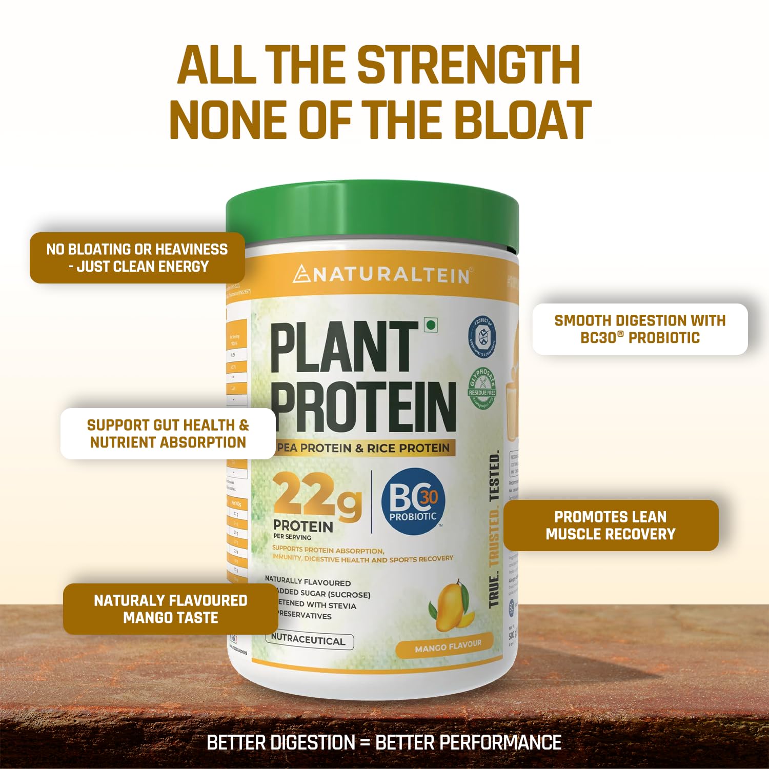 NATURALTEIN Plant Protein â€“ 22g Clean Protein with BC30 Probiotic | Trusted Natural Blend for Strength, Energy & Gut Health | Delicious Natural Mango flavour | No Sugar, Just Pure Wellness