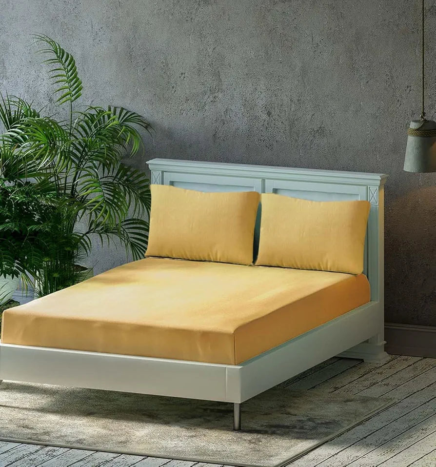 Trance Home Linen 300TC Pure 100% Cotton Queen Fitted Bedsheet with 2 Pillow Covers Colour Gold