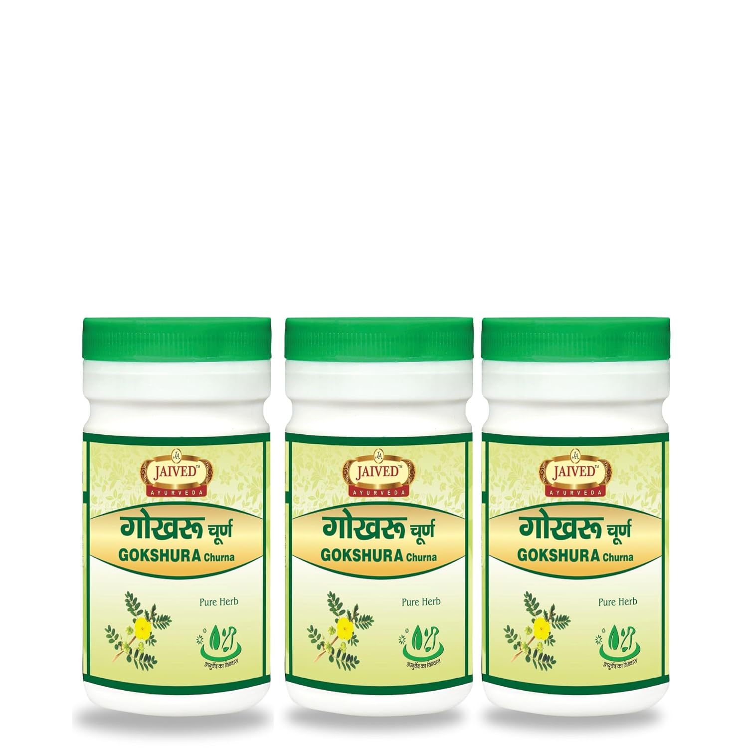 Jaived Ayurveda Gokshuru Churana - 100 gms (Pack of 3)