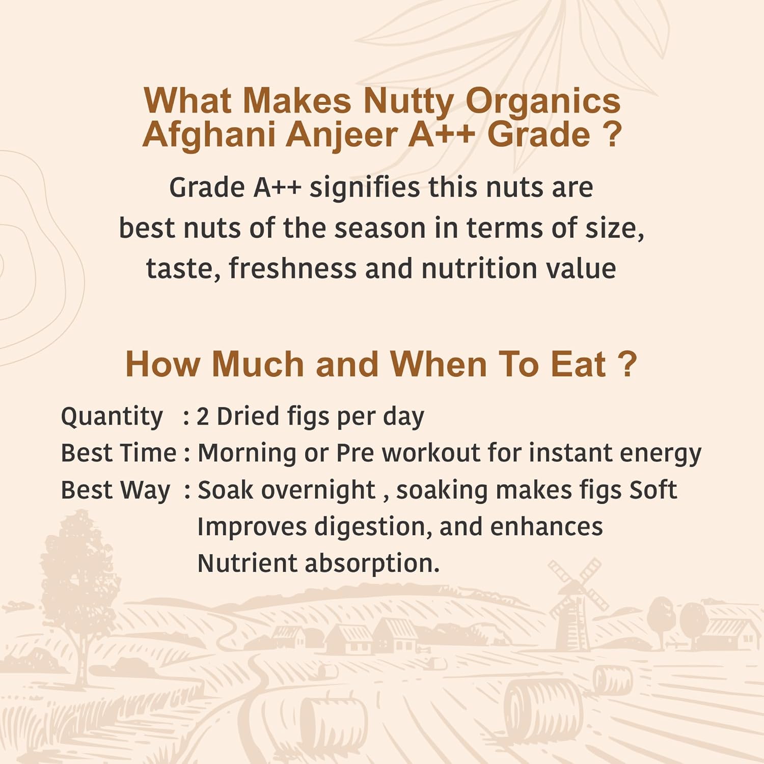 NUTTY ORGANICS Premium Dried Afghani Anjeer| Rich in Fiber | Rich in Nutrients | Packed with Fiber & Nutrients for a Healthier, Happier You | Anjeer Dry Fruit